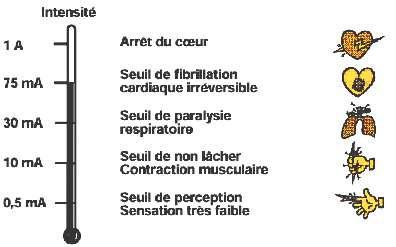 Source : INRS