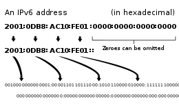 Image: wikipedia.org